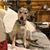 Pamela Calzaretta-Wilmarth's profile image