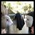 Angie Lembo's profile image