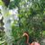 Becky Chuck Knopf Stutz's profile image