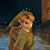 Laurie Salafia's profile image