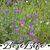 Sheri Johnson's profile image
