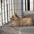 Laureen Beep Dyer-Gerhart's profile image