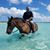 Brian Swain's profile image