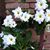 Kathy Herrick's profile image
