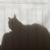 Aaron M Sneary's profile image