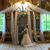 Shannon Peterson's profile image