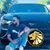 Malk Sandhu's profile image