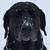 Mack Kapp's profile image