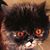 Ken Wyner's profile image