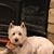 Cynthia Renchard's profile image