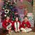 Pam Noell Clince's profile image