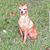 JoAnn Wilkerson's profile image