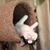 Judy Soulvie's profile image