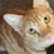 Nancy Chen's profile image