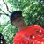 Cindy Chriss Terry's profile image