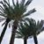 Dawn Eaton Ogle's profile image