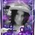 Patricia Vervaet's profile image
