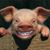 Valeria Zavala's profile image