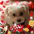 Val David Jun's profile image
