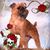 Debbie Henderson's profile image