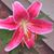 Beth Pye's profile image