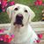 Christine Ajello Tucker's profile image