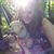 Emily Pate's profile image