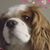 Patti McGillivray's profile image