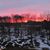 Carol Ann Boudreau's profile image