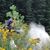 Jennifer Owens Maclay's profile image