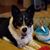 Carol Guthrie's profile image