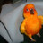 Kathy's profile image