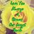 Sandi Grote's profile image
