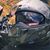 Ronny Thomasson's profile image