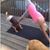 Carole Rodero's profile image