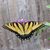 Kristin Deppe's profile image