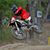Luis Vendrell's profile image