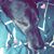 Shianne Linnea's profile image