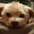 Brenda Mitchell's profile image