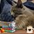 Wendy Sharpe's profile image