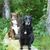 Susan Litchholt's profile image