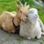 Michelle Friedlander's profile image