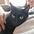 Heather Ponchetti Daly's profile image