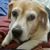 Kathryn Gauthier Takacs's profile image