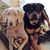 Tina Musshorn's profile image