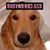 Nkh Henrichs's profile image