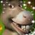 Doug Debra Dexter Erickson's profile image