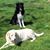 Stephanie Satterfield's profile image