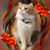 Laura Peck-Leslie's profile image