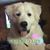 Melinda Mealey's profile image